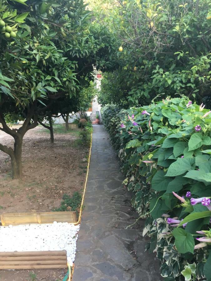 Villa Ermilia Kerveli Esterno foto